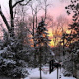 Meet your Posher, Elrod